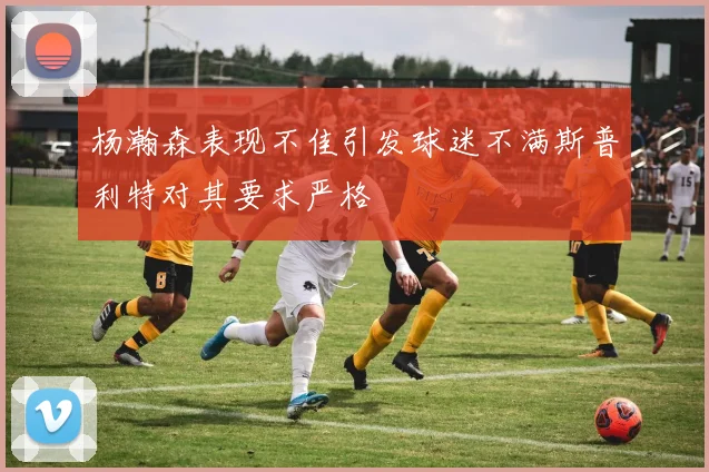 杨瀚森表现不佳引发球迷不满斯普利特对其要求严格