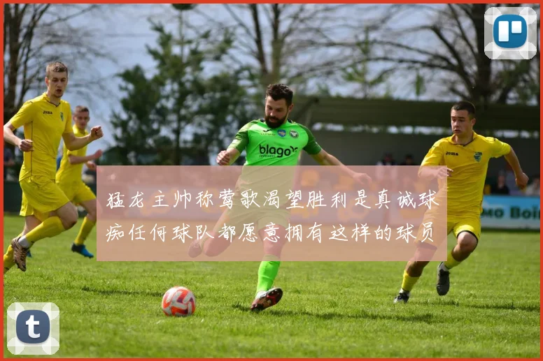 猛龙主帅称莺歌渴望胜利是真诚球痴任何球队都愿意拥有这样的球员