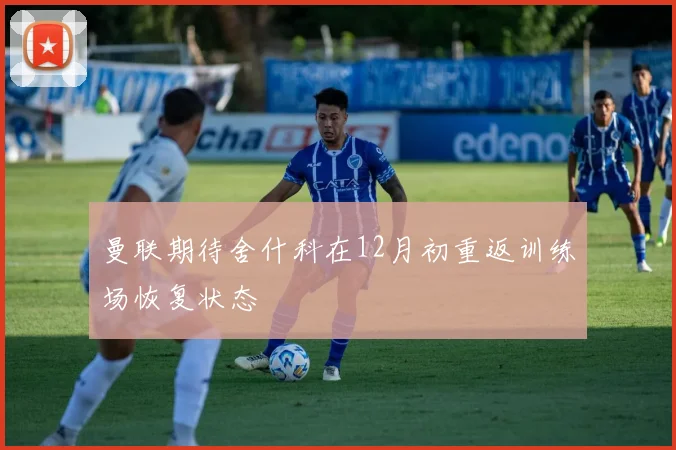 曼联期待舍什科在12月初重返训练场恢复状态