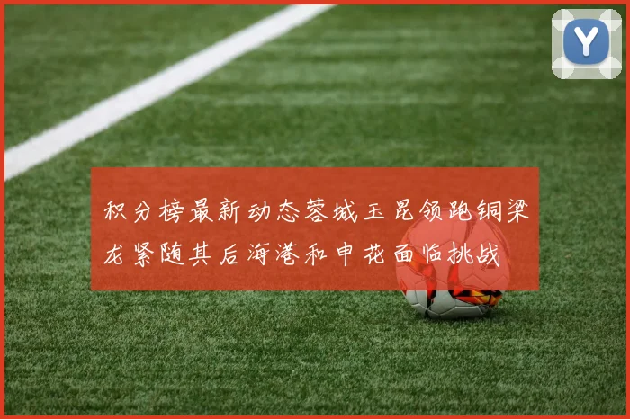积分榜最新动态蓉城玉昆领跑铜梁龙紧随其后海港和申花面临挑战
